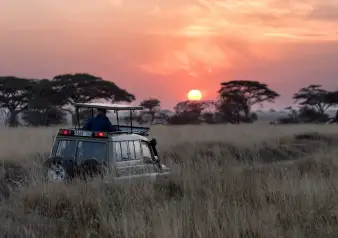 The great migration across Tanzania’s plains