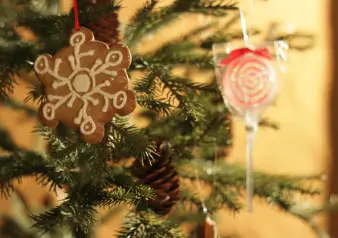 Christmas In Prague, Almost